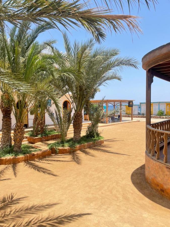 Shams Hotel & Dive Centre Dahab Exterior photo