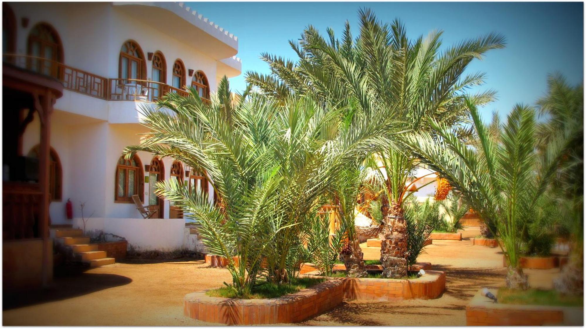 Shams Hotel & Dive Centre Dahab Exterior photo